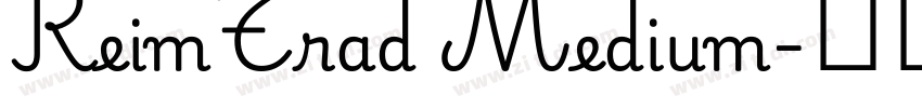ReimTrad Medium字体转换